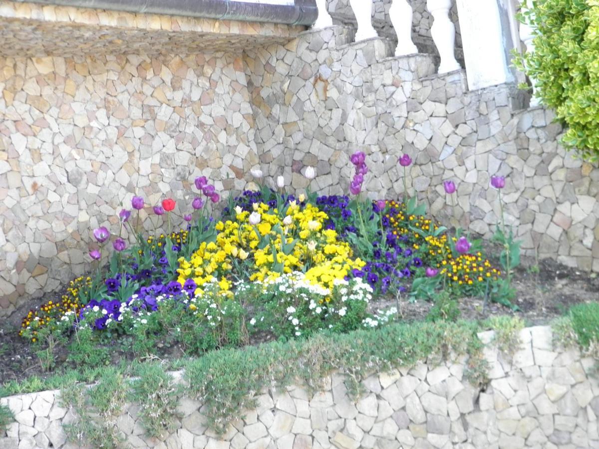 Heviz Kristaly Apartman Exterior photo